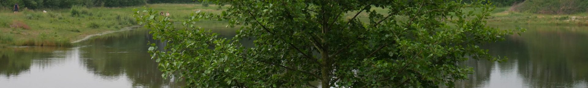Urlaub im Herzen Ostfrieslands